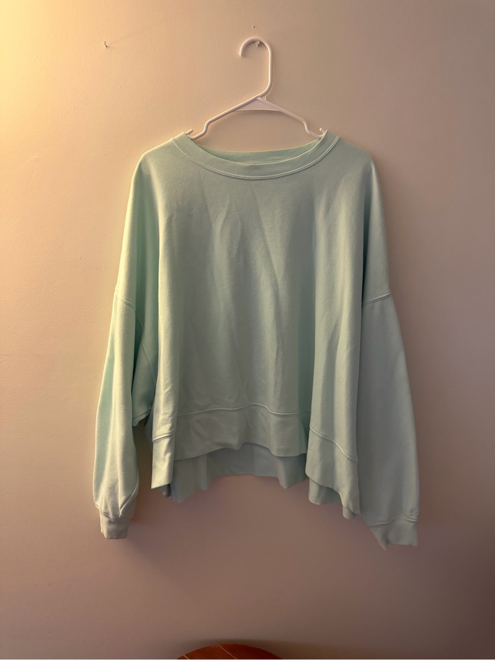 DSG Sweatshirt, slightly cropped